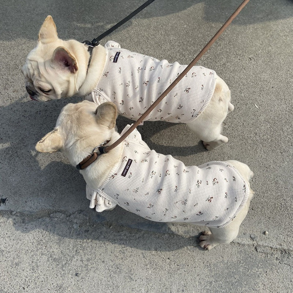 반려견 야용이 실내복 티셔츠 봄옷 강아지옷 대중소 JIKTEM BW4032403