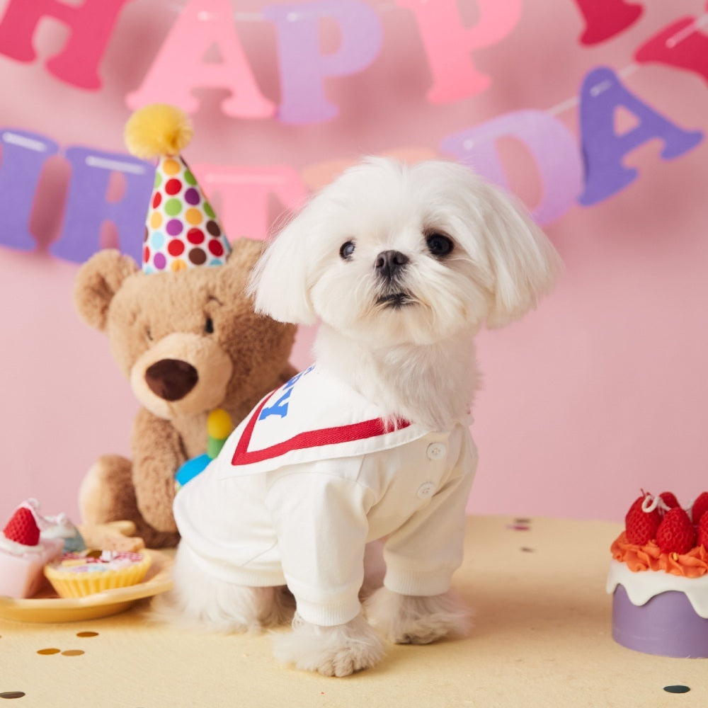 강아지옷 여름 티셔츠 반려견 티셔츠 외출복 JIKTEM BW4032408