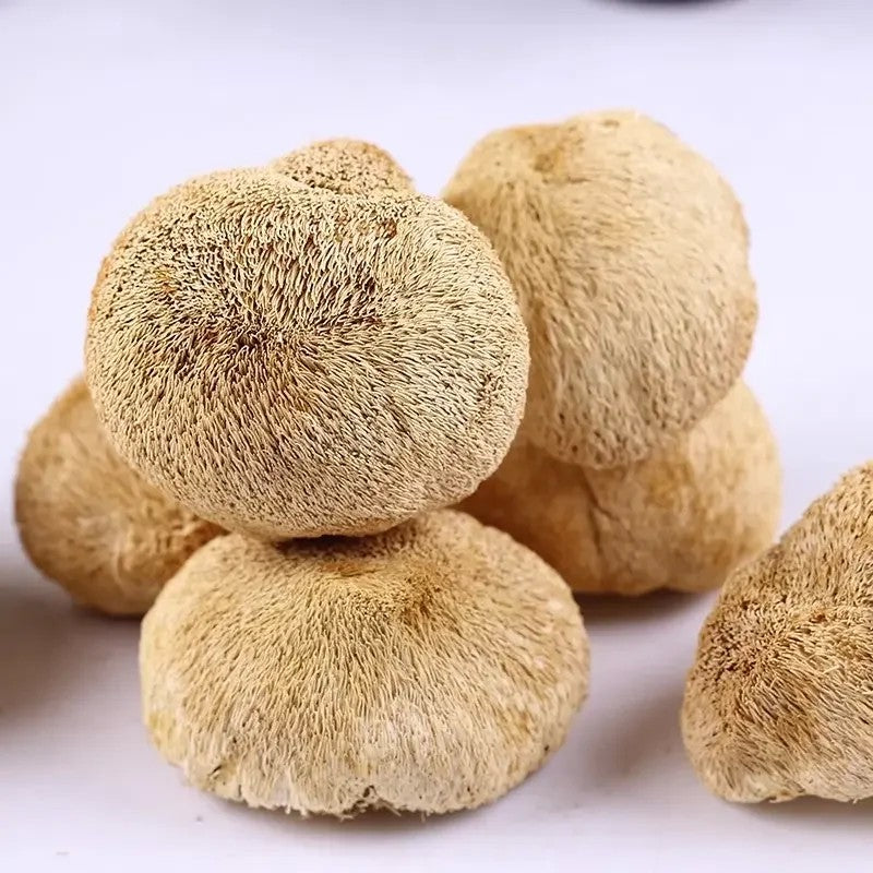 말린 노루궁뎅이버섯 250g 500g 건조 버섯 중국 특산 JIKTEM BW5092419