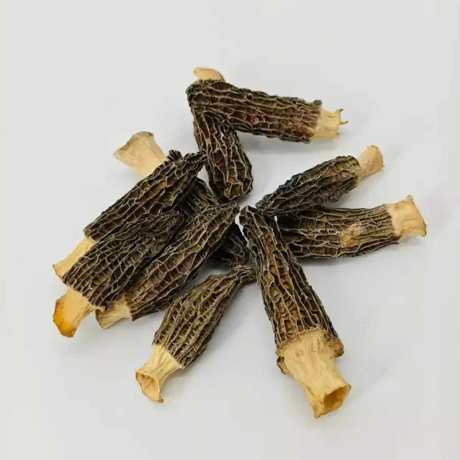 모렐버섯 말린 건조 곰보버섯 15g 30g 6-12cm JIKTEM WW60108