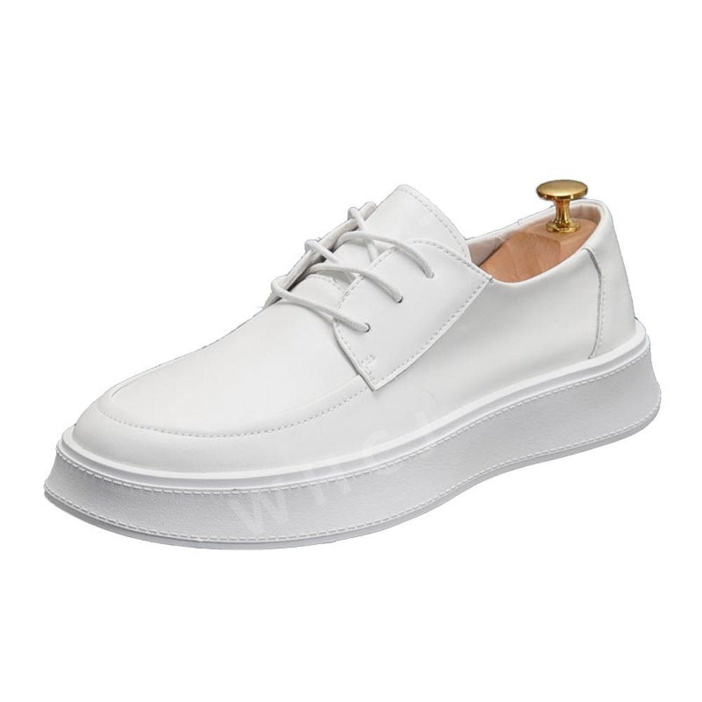 WD2052712 백구두 남성 키높이 단화 화이트 블루