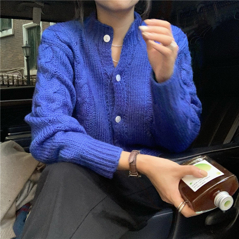 D2022709 브라운 크라인블루 꽈배기 가디건 버튼 니트