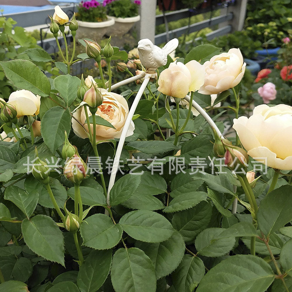 철제 Q1082726 화분 오벨리스크 베란다정원 지지대 대소SET 식물 꾸미기