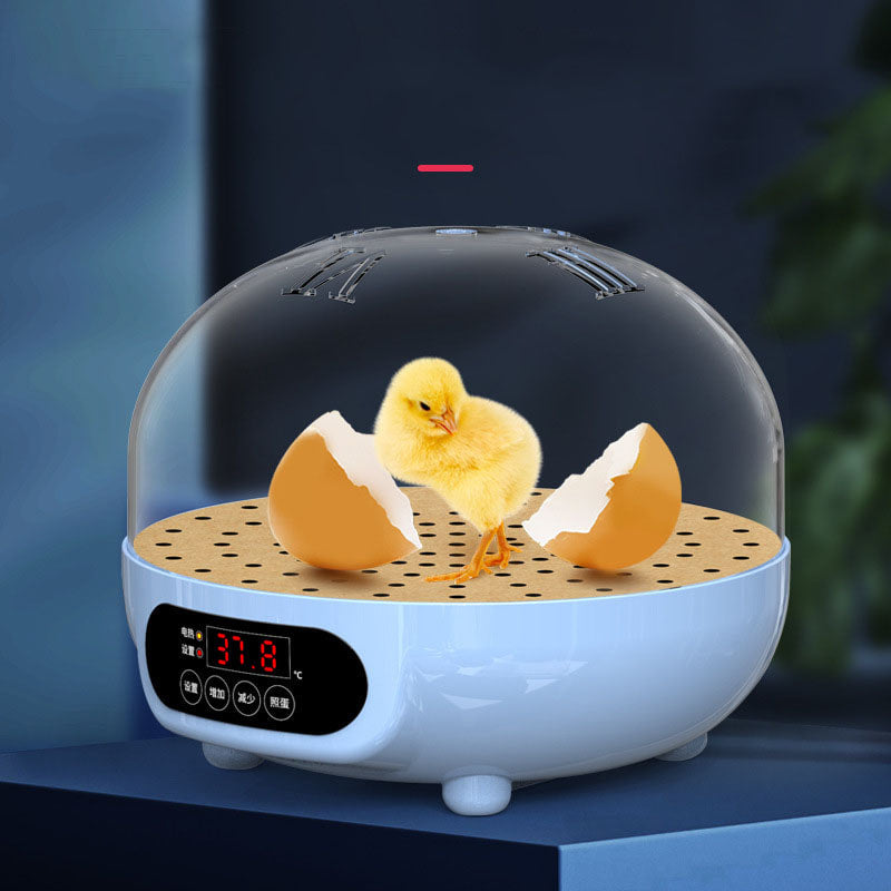 자동 키우기 병아리부화기 병아리 계란부화기 L2041815
