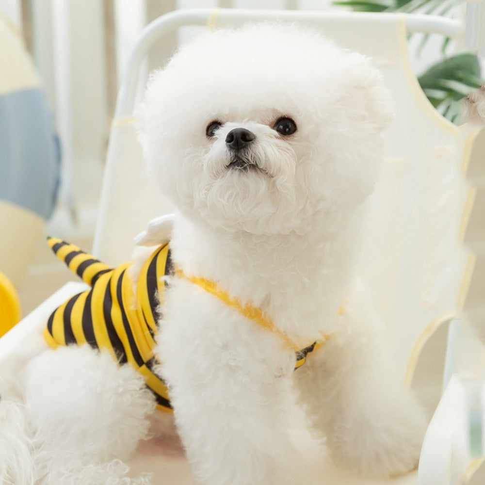 쿨링 고양이 애견 시원한 반려견 여름옷 강아지 비키니 수영복 BX3062004