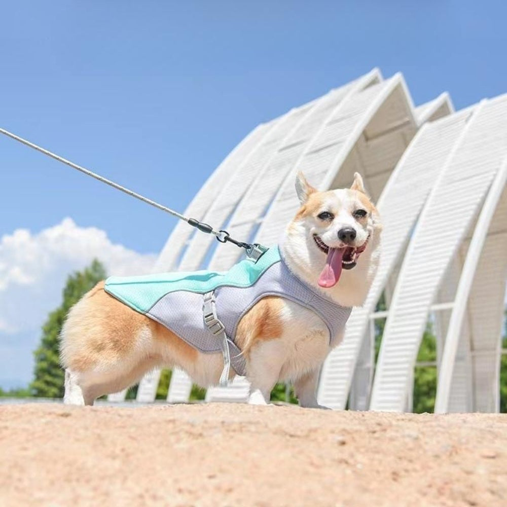 아이스 쿨링 고양이옷 여름 소형견 시원한 조끼 강아지옷 BX3061902