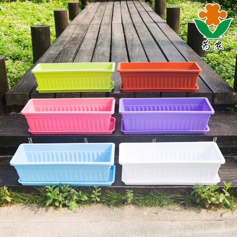 JIKTEM 모종 화분 옥상 컵포트 삽목 베란다 모판 모종포트 WX4012508