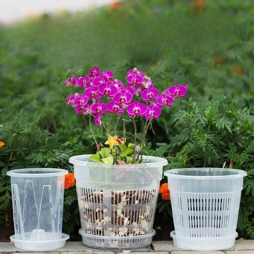 JIKTEM 모종 화분 옥상 모판 모종포트 베란다 플라스틱 트레이 WX4012514