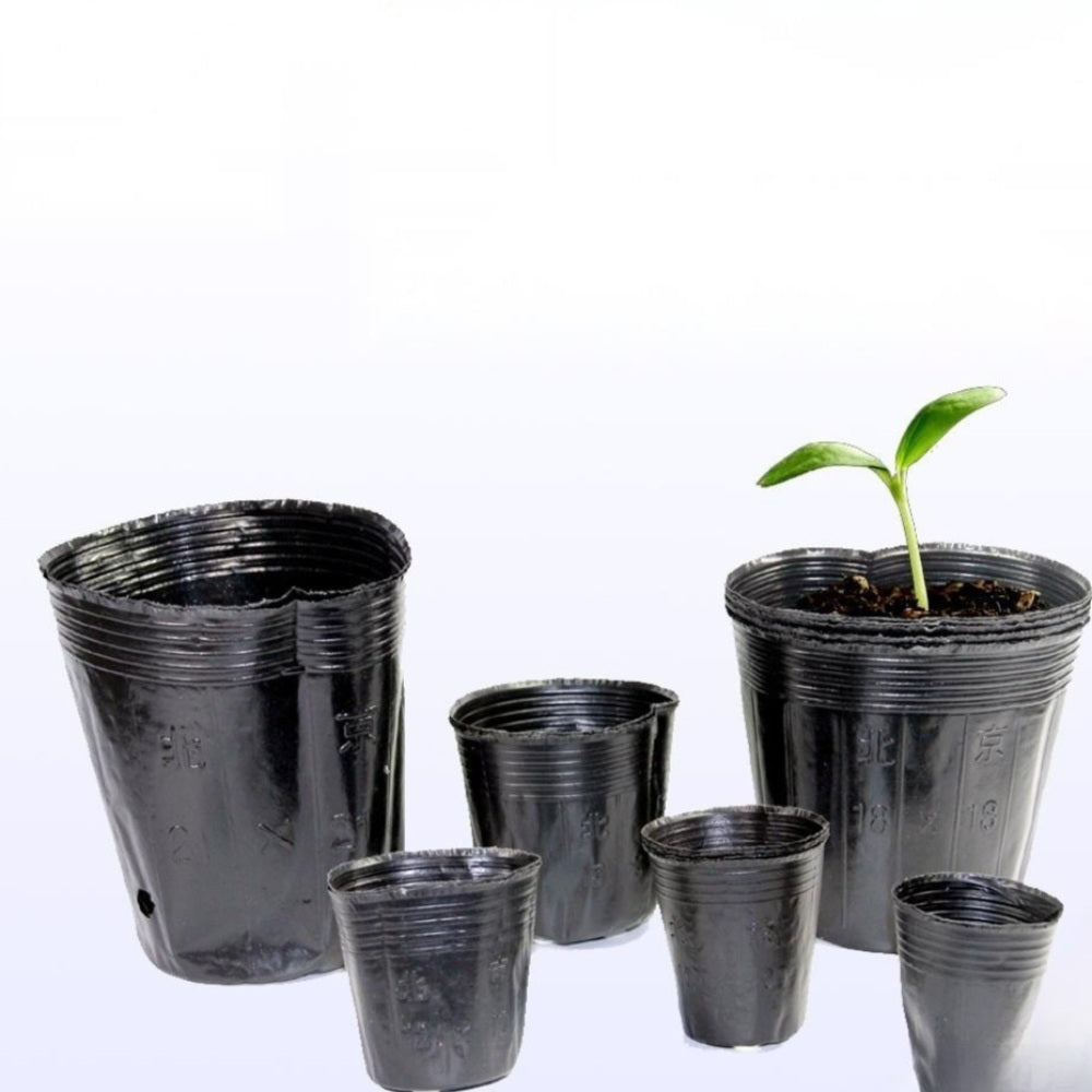 JIKTEM 모종 화분 삽목 베란다 플라스틱 모종포트 모판 컵포트 WX4012503