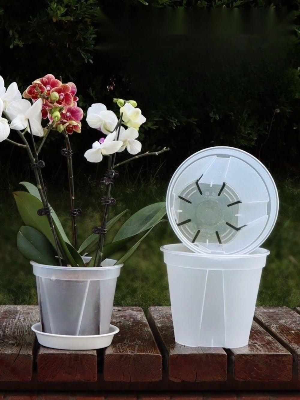 JIKTEM 모종 화분 베란다 모판 모종포트 텃밭 삽목 컵포트 WX4012516