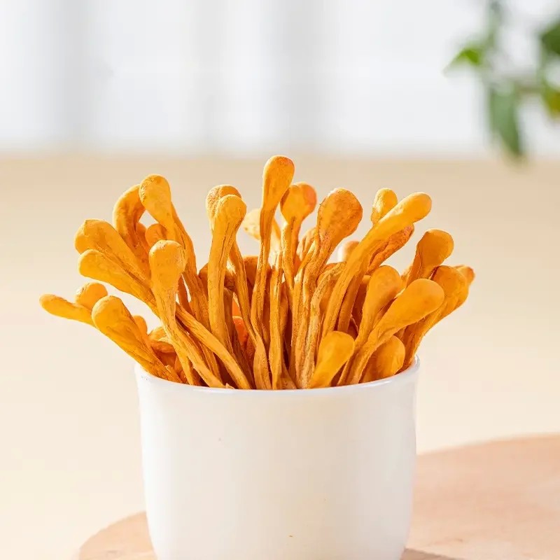 말린 충초화 버섯 건버섯 200g 건강 식재료 중국 특산 JIKTEM BW5092415