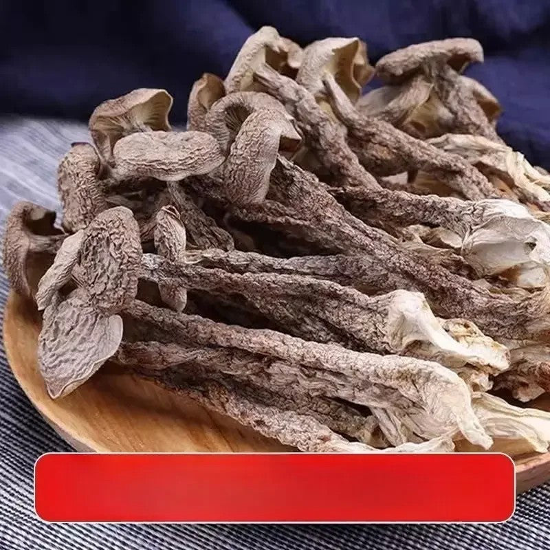 말린 버섯 건조 통녹용버섯 500g 중국 특산 JIKTEM BW5092404