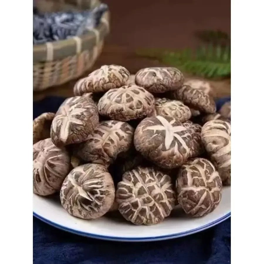 건조 표고버섯 통표고 말린 버섯 순중량 300g 2-4cm JIKTEM BW5092401