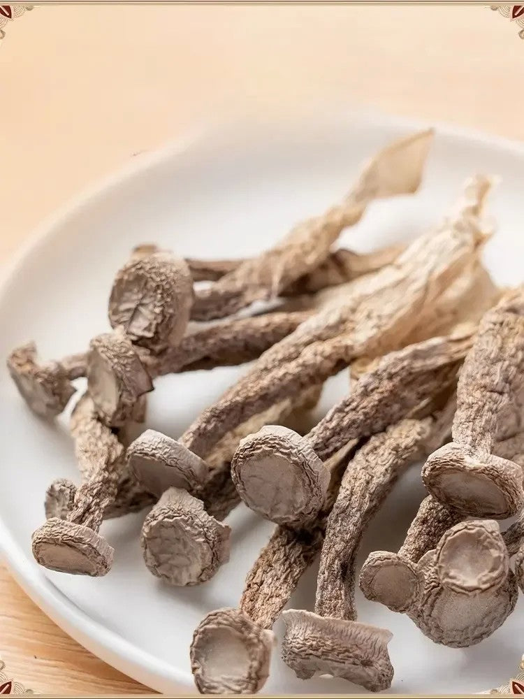 건조 녹용버섯 그대로 말린 특급 순중량 500g 1000g  중국 운남 특산 JIKTEM BW5092407