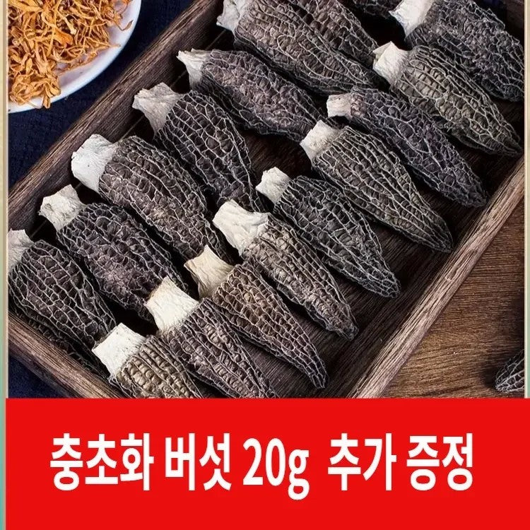 건조 모렐 곰보버섯 프리미엄 6-9cm 9-12cm 50g JIKTEM WW5120818