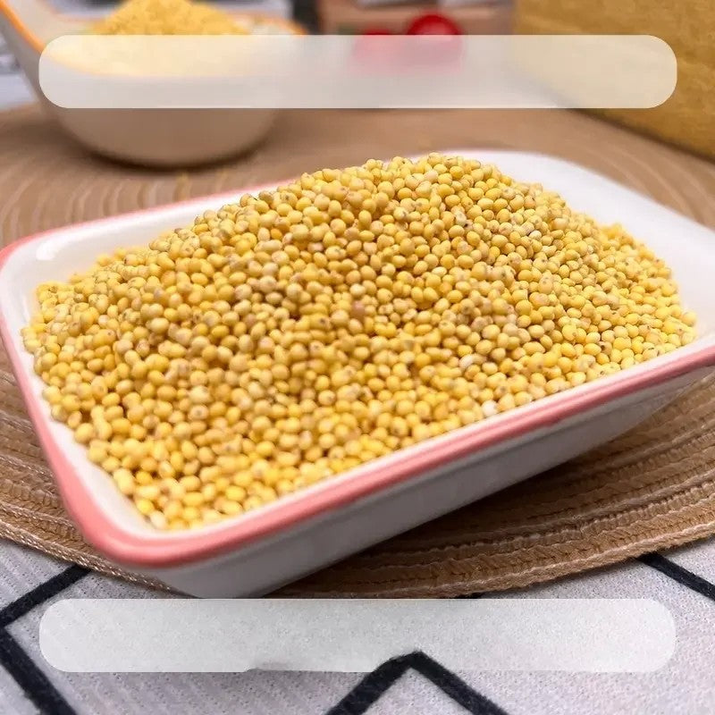 좁쌀 쑈미 1kg 1개 2개  중국산 진공포장 JIKTEM BJ5121311