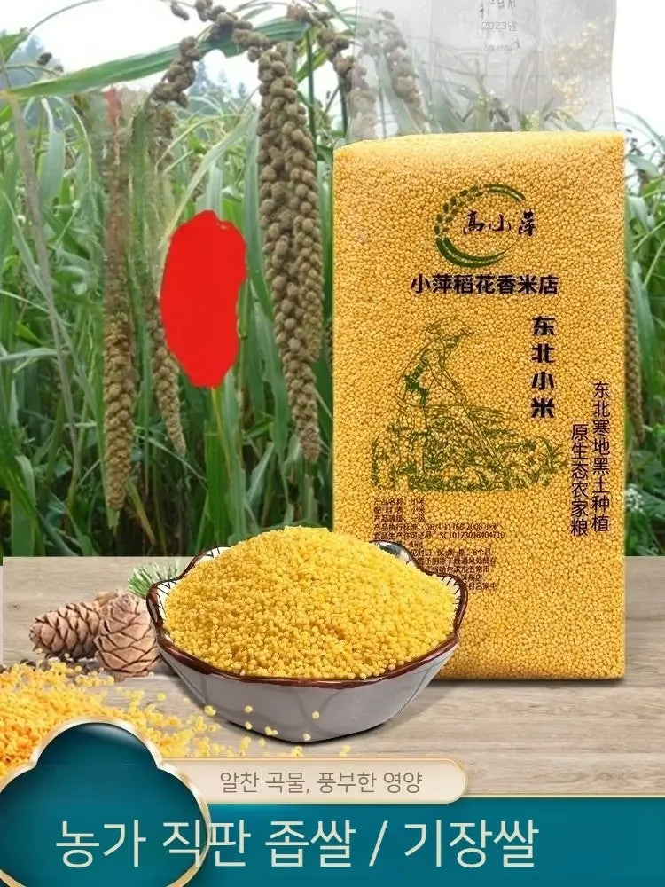 좁쌀 기장쌀 1kg 1개 2개 잡곡 곡물 중국산 JIKTEM BJ5121310