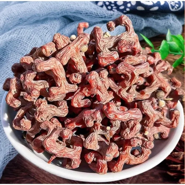 헛개차 서리 맞은 헛개 열매 500g 1kg JIKTEM WW5121517