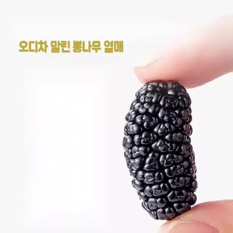말린 오디 뽕나무 열매 오디차 500g 1개 2개 JIKTEM WW5121810