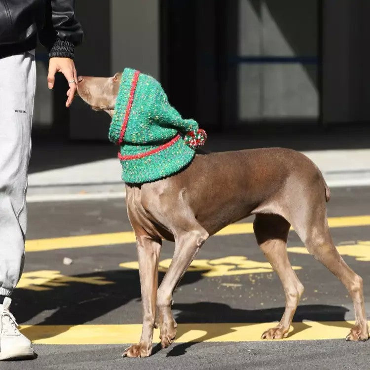 반려견 크리스마스 뜨게 모자 방한 방울 귀도리 JIKTEM WW6010701