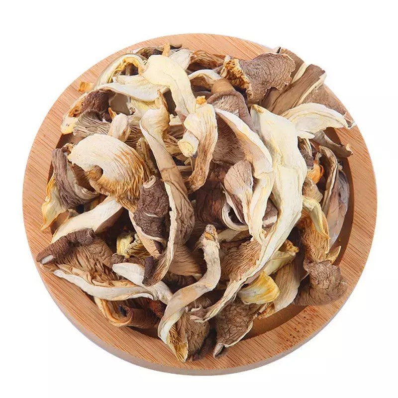 말린 느타리버섯 500g 건조버섯 건 느타리버섯  6D0103