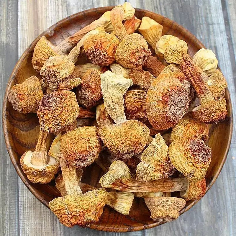 말린 건조 아가리쿠스 버섯 250g 500g 윈난 특산 6D503