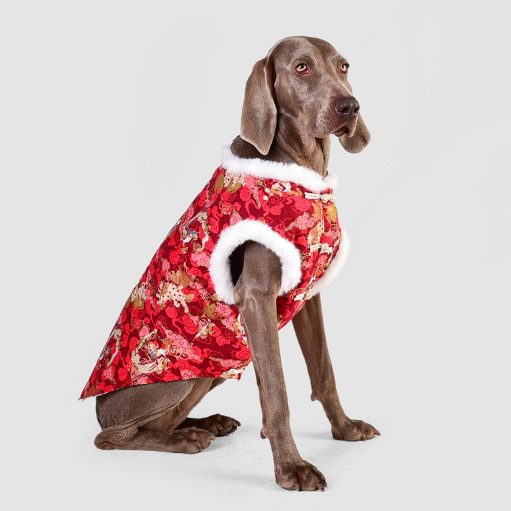 겨울 애완 의류 중대형견 강아지 옷 구정 축제 차이나풍 패딩 BQ2120528