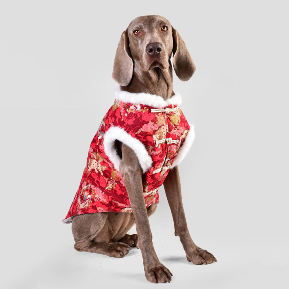 겨울 애완 의류 중대형견 강아지 옷 구정 축제 차이나풍 패딩 BQ2120528