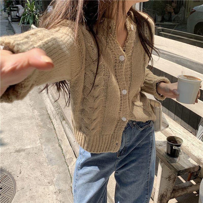 D2022709 브라운 크라인블루  꽈배기 가디건 버튼 니트