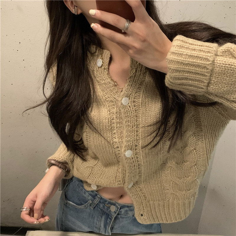 D2022709 브라운 크라인블루  꽈배기 가디건 버튼 니트