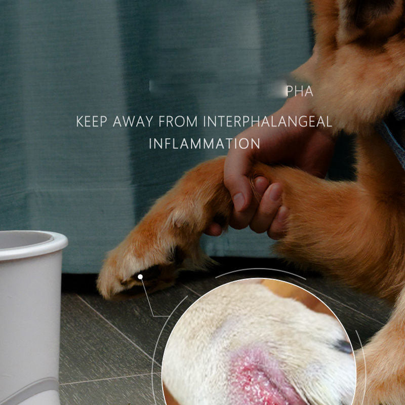 자동세척기 발닦기 애견발씻기 Q2040730 업그레드