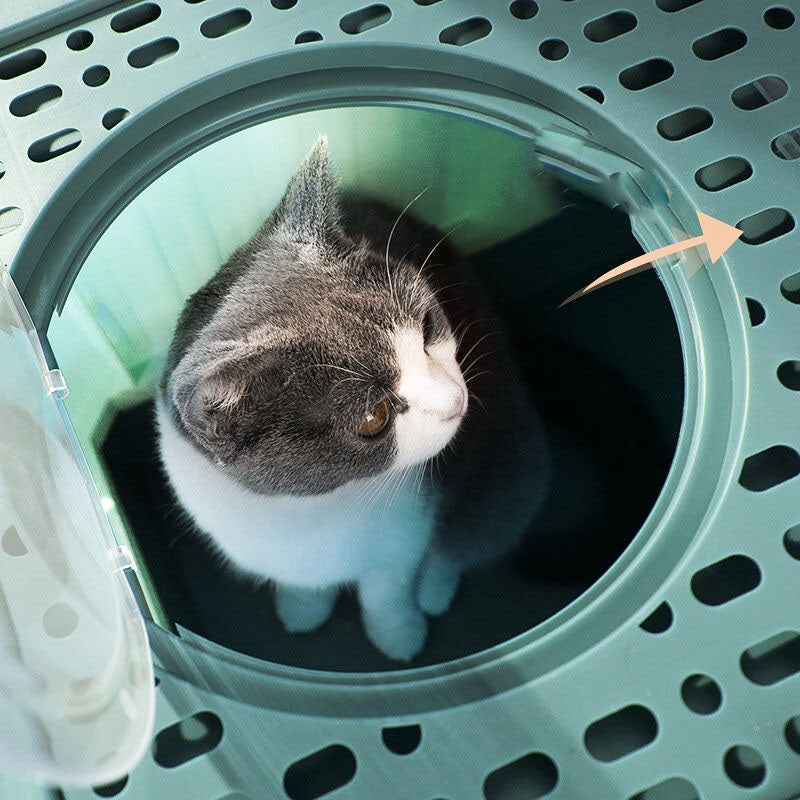 Q2041007 사막화 후드형 배변통 고양이 화장실 방지