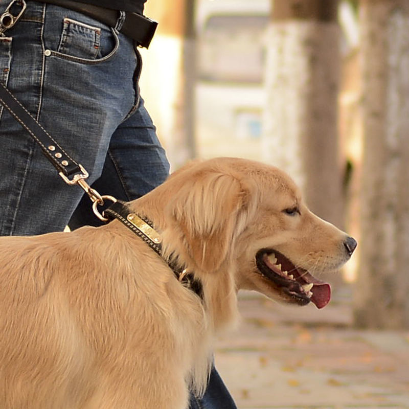 레더 Q2041203 목걸이 대중소 목줄 반려견