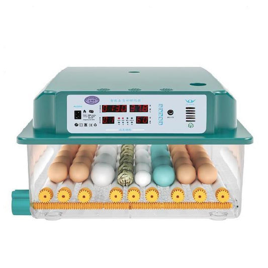 6란 L2041805 전란틀 그린부화기 병아리부화기 디지털 자동