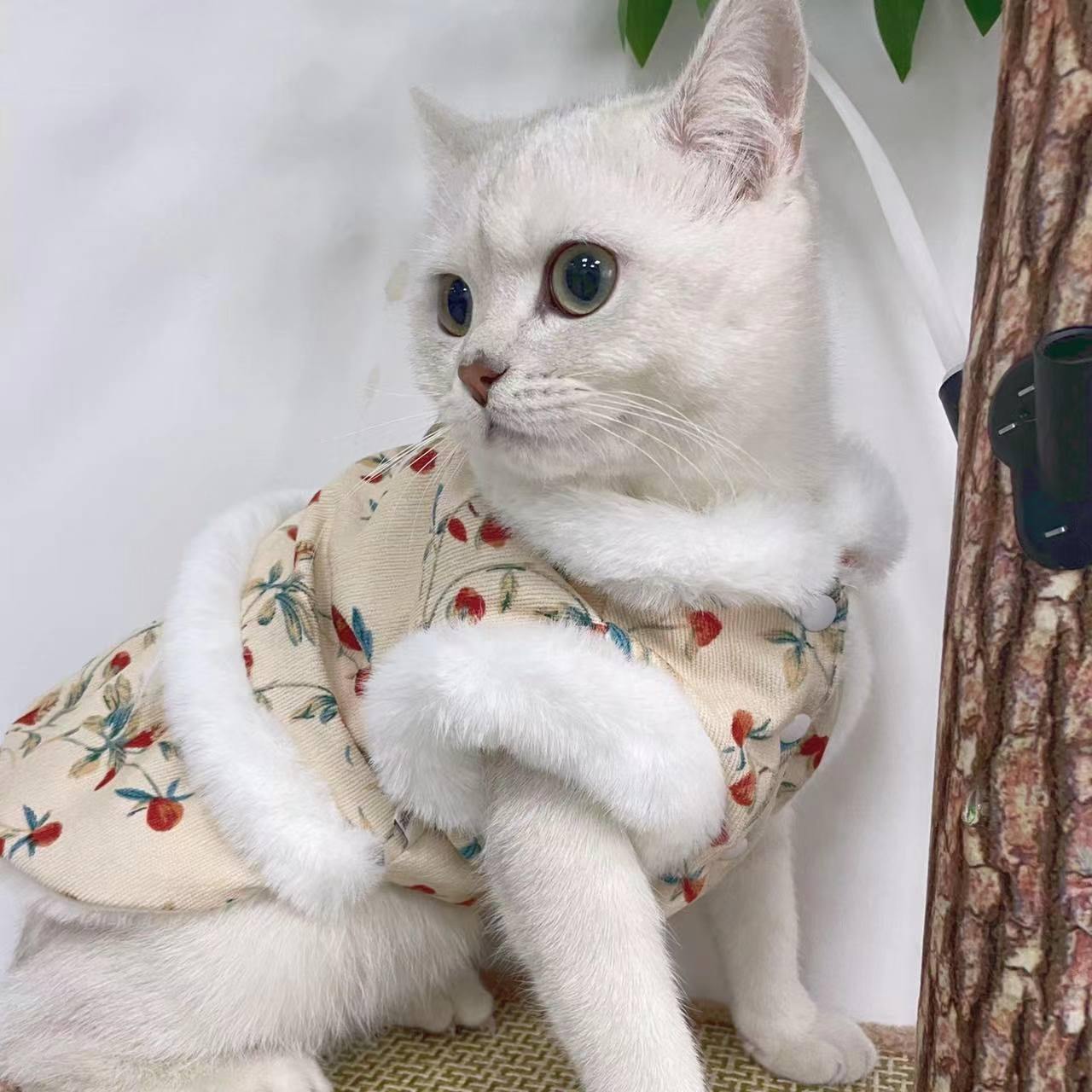 JIKTEM 소형견 조끼 패딩 후리스 입히기 쉬운 고양이 애완 반려동물 겨울옷 WW3112214