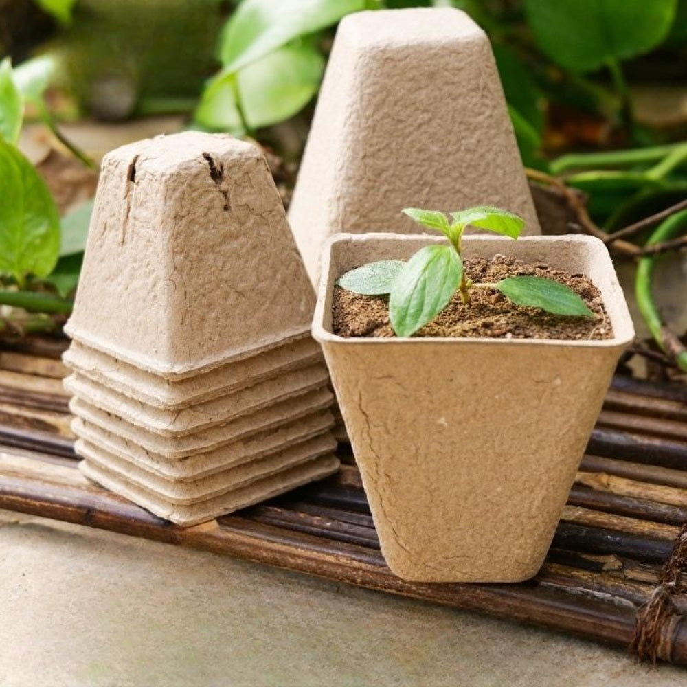 JIKTEM 모종 화분 플라스틱 삽목 텃밭 트레이 모판 베란다 WX4012513