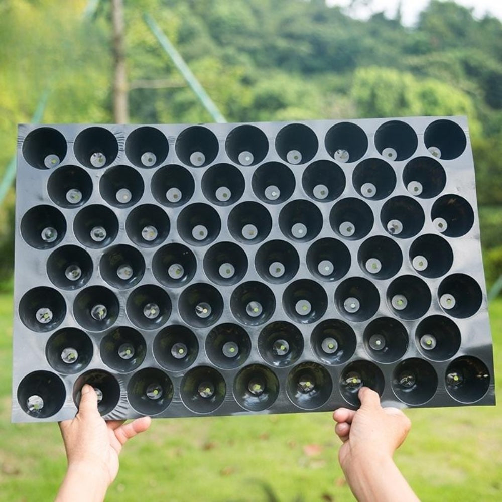 JIKTEM 모종 화분 삽목 플라스틱 트레이 모판 텃밭 모종포트 WX4012507